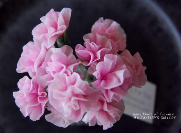 ◆粘土のお花◆　ミニカーネーションを小さなホラリング・フラットボトルに飾って・・・Ⅰ506 6枚目の画像
