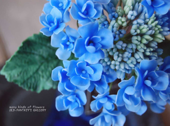 八重咲きガクアジサイをブルーガラスボトルに飾って・・・ブルー　サイズ約24センチ　A529 4枚目の画像