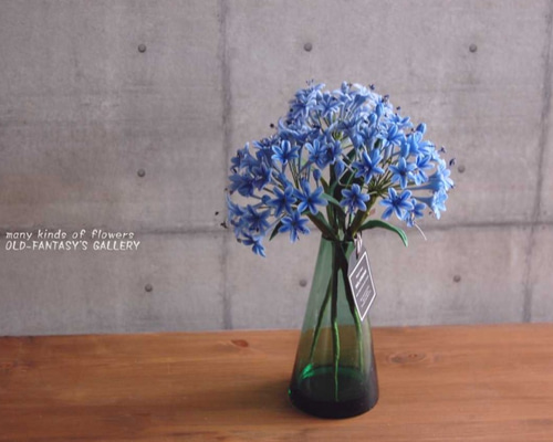 0_02251ce8ee29053c4d269651a6e7