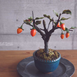 0_6380bd1bca79e51ea9df013ccdb2