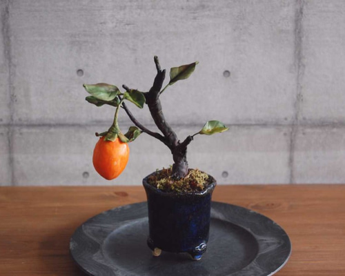 0_68672f9432e619b63560bed971a7