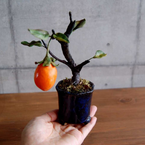 ◇粘土のお花◇ 柿盆栽【ロウヤガキ（老爺柿）】・・・高さ19