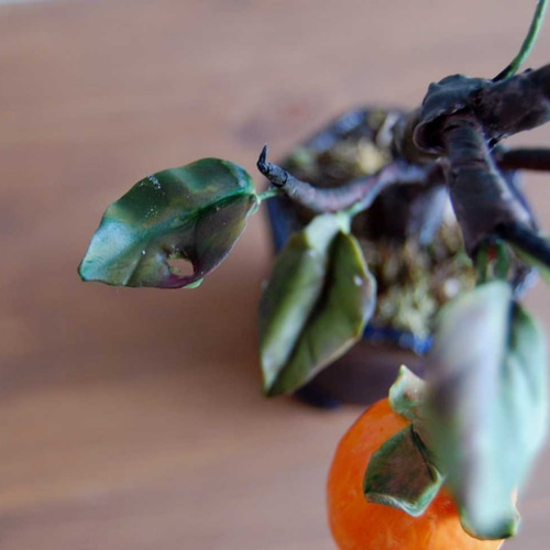 ◇粘土のお花◇ 柿盆栽【ロウヤガキ（老爺柿）】・・・高さ19センチ