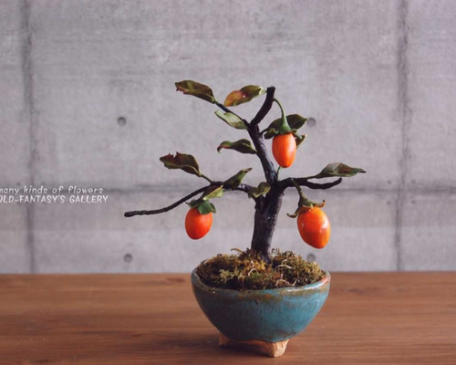 0_fa92a2adc1ac39f70d0e153dfeea