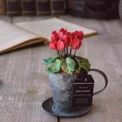 ◆粘土のお花◆　小さなシクラメン　アンティーク　ブリキカップ…　S594 1枚目の画像