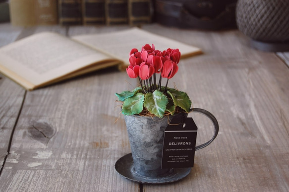 ◆粘土のお花◆　小さなシクラメン　アンティーク　ブリキカップ…　S594 1枚目の画像