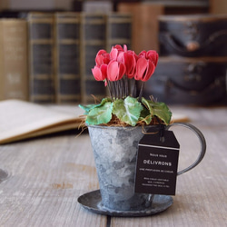 ◆粘土のお花◆　小さなシクラメン　アンティーク　ブリキカップ…　S594 2枚目の画像