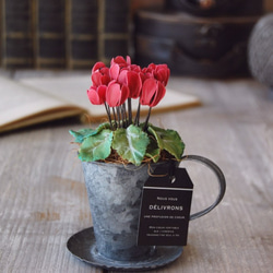 ◆粘土のお花◆　小さなシクラメン　アンティーク　ブリキカップ…　S594 3枚目の画像