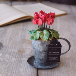 ◆粘土のお花◆　小さなシクラメン　アンティーク　ブリキカップ…　S594 5枚目の画像