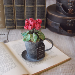 ◆粘土のお花◆　小さなシクラメン　アンティーク　ブリキカップ…　S594 9枚目の画像