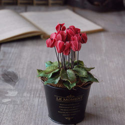 ◆粘土のお花◆　小さなシクラメン　レッド　グラックブリキカップ…　S597 3枚目の画像