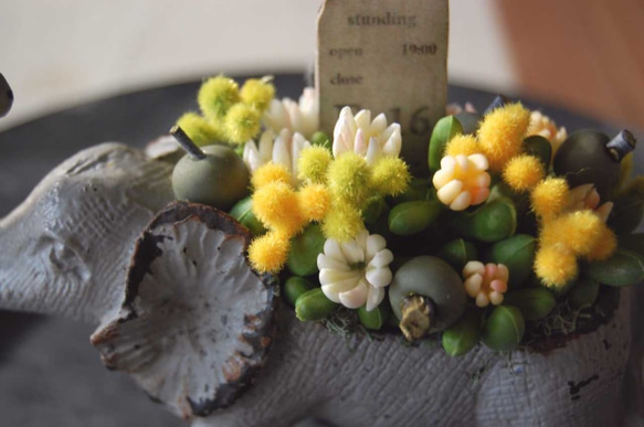 粘土の多肉植物＆小花の寄せ植え　イエロー　ゾウポット F319 7枚目の画像