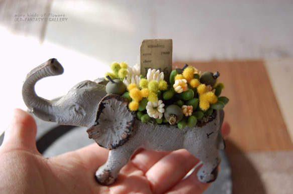 粘土の多肉植物＆小花の寄せ植え　イエロー　ゾウポット F319 8枚目の画像