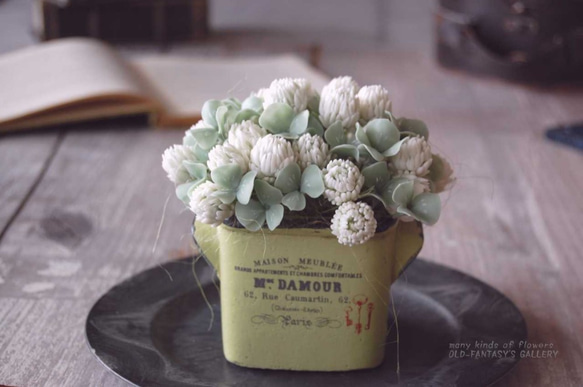 お花いっぱい！　シロツメクサ　アンティークポット…　S399 1枚目の画像