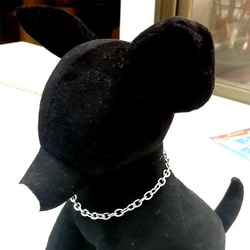 304 不鏽鋼寵物項鏈 30公分 第1張的照片