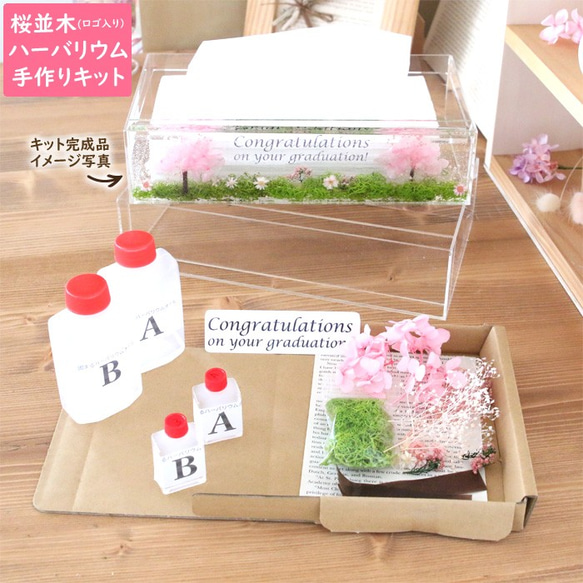 メッセージシール付＞ 【 桜並木 】 固まるハーバリウム ティッシュ