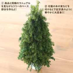 【手作りキット】 クリスマスツリー アレンジメント キット （ 北欧風 ） 2枚目の画像