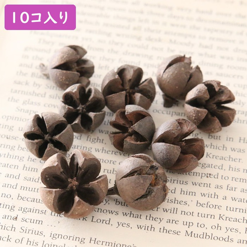 ワラッチポッド 10点 【木の実 茶色 自然素材】 ドライフラワー