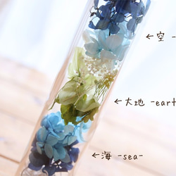 【お試しキット】ハーバリウム花材セット１本分（ブルー／地球） 4枚目の画像