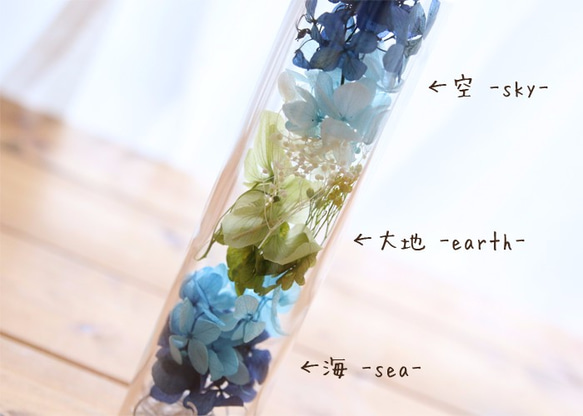 【お試しキット】ハーバリウム花材セット１本分（ブルー／地球） 4枚目の画像