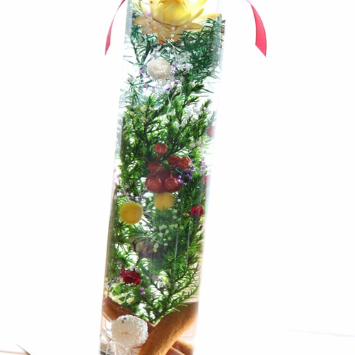 数量限定】ハーバリウム クリスマスB ハーバリウム・植物標本 Natural  