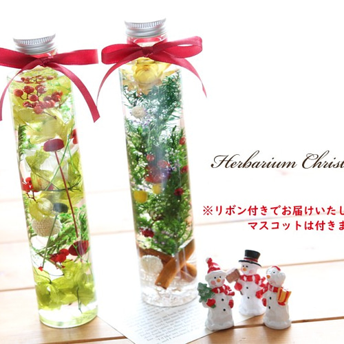 数量限定】ハーバリウム クリスマスB ハーバリウム・植物標本 Natural  