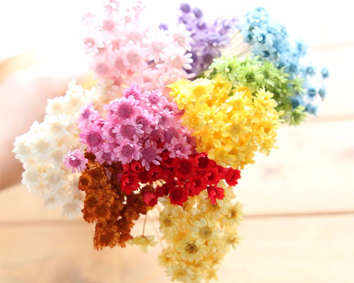 0_4b19729b4ae8254c3c3f3c722a87 0_4b19729b4ae8254c3c3f3c722a87