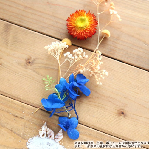 海花セール❣️海花★バラエティセット　ハーバリウム花材　1104-D 海花セール❣️海花☆バラエティセットハーバリウム花材1104-D