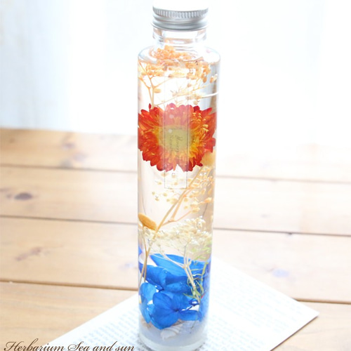 お試しキット】ハーバリウム花材セット1本分（海と太陽） ハー 