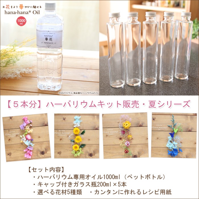 5本分】【20％OFF】ハーバリウムお試しキット【夏シリーズ】（オイル1  
