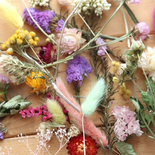 おまかせ】ドライフラワーお試しセットA ドライフラワー Natural