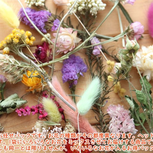 おまかせ】ドライフラワーお試しセットA ドライフラワー Natural