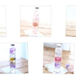 【5本分】ハーバリウムお試しキット【Hタイプ】（オイル1本、ガラス瓶5本、花材セット5種類）　 4枚目の画像