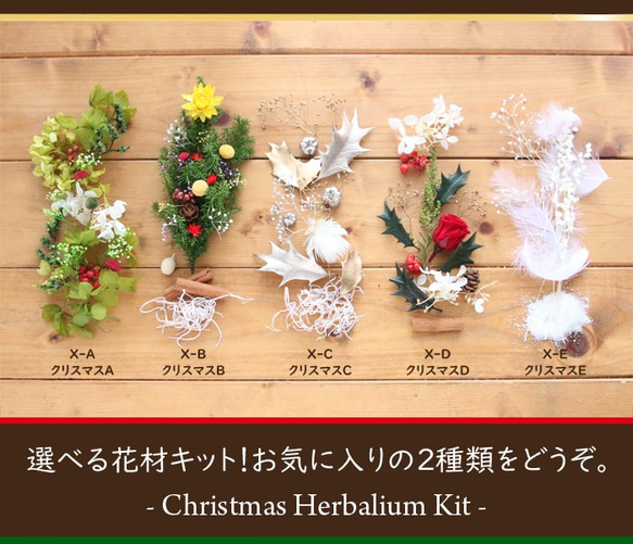 【2本分】【クリスマス】ハーバリウムお試しキット（オイル1本、ガラス瓶2本、花材セット2種類） 3枚目の画像