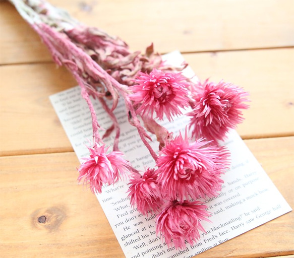 Fillyjonk シルバーブローチ デイジーの花デザイン 約10cm Fillyjonk シルバーブローチ デイジーの花デザイン 約10cm