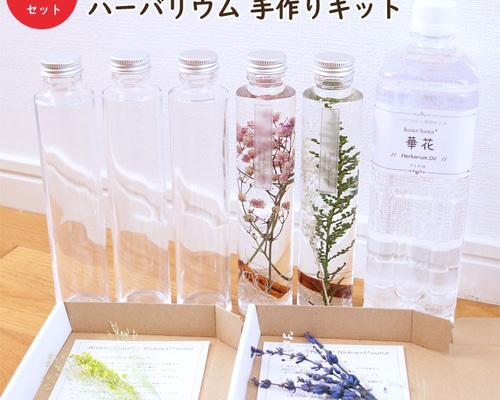 Jー①　花材　ハーバリウム ハーバリウム 花材のみ [シルバーデージー] | ハーバリウム通販