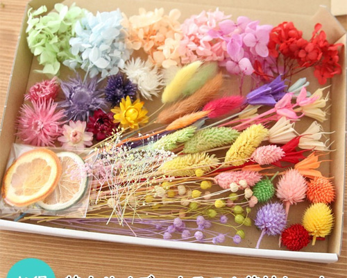 0_89216c0e75d29f8905ed7998edbe