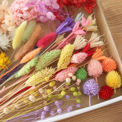 特大サイズ】 カラフル 花材セット プリザーブドフラワー Natural