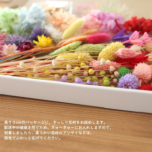 特大サイズ】 カラフル 花材セット プリザーブドフラワー Natural