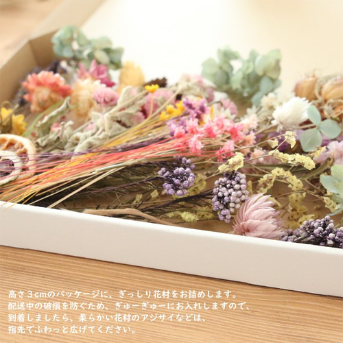 Flora　ヘリクリサムドライフラワー　モハーブ　花材　ハーバリウム 楽天市場】緑系 ドライフラワー プリザーブドフラワー 花材