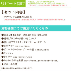 アクリル チェロ本体のみ 【1点】 5枚目の画像