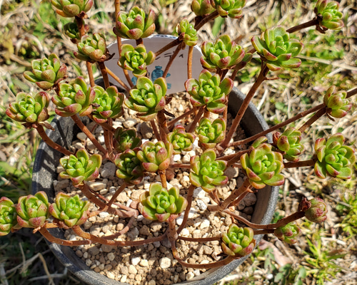 1_511b034cbaca4947e2b676637426