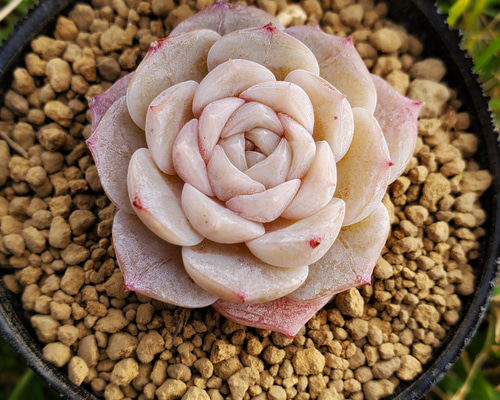 1_84de7d6c63f90b0dcccbd559bd3c