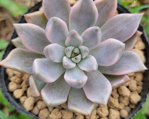 0_53288dd0608cb2febd8094c06749