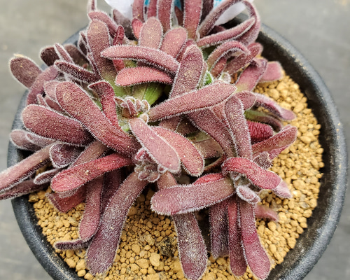 1_665da654a158baa45979104a3b02