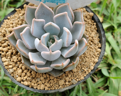 1_dec6f7e2b0fb3fac4fb920d511fa