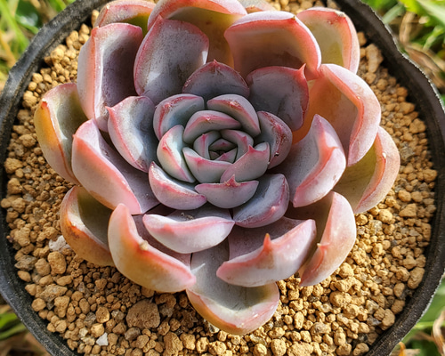 1_4f126197f813c7f0bbc1695f92d5