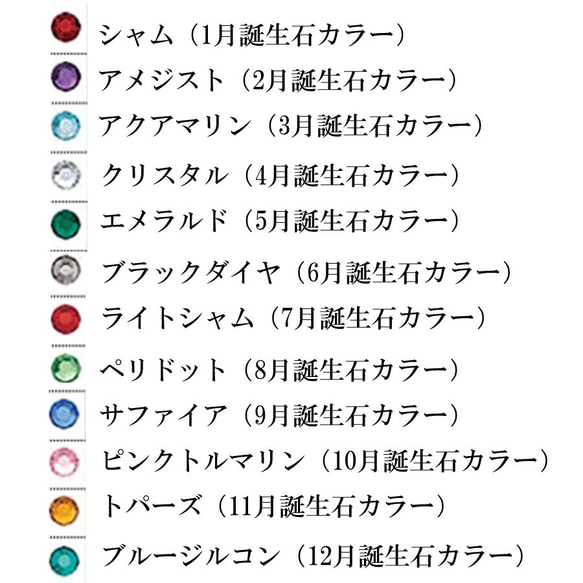 エタニティリング ネックレス クリスタル サークル 誕生石カラー セミオーダー オリジナリティ プレゼントに 2枚目の画像