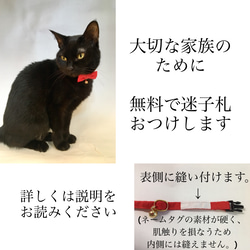 感謝sale＊無地×タータンチェックのリボンつき首輪　1点のみ　赤　猫　小型犬 5枚目の画像