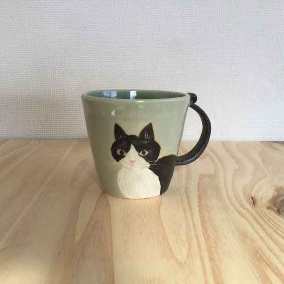 大杯黑白蜜蜂貓 第1張的照片